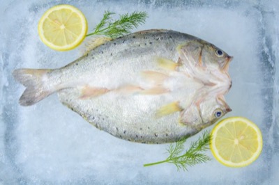 Red Snapper
